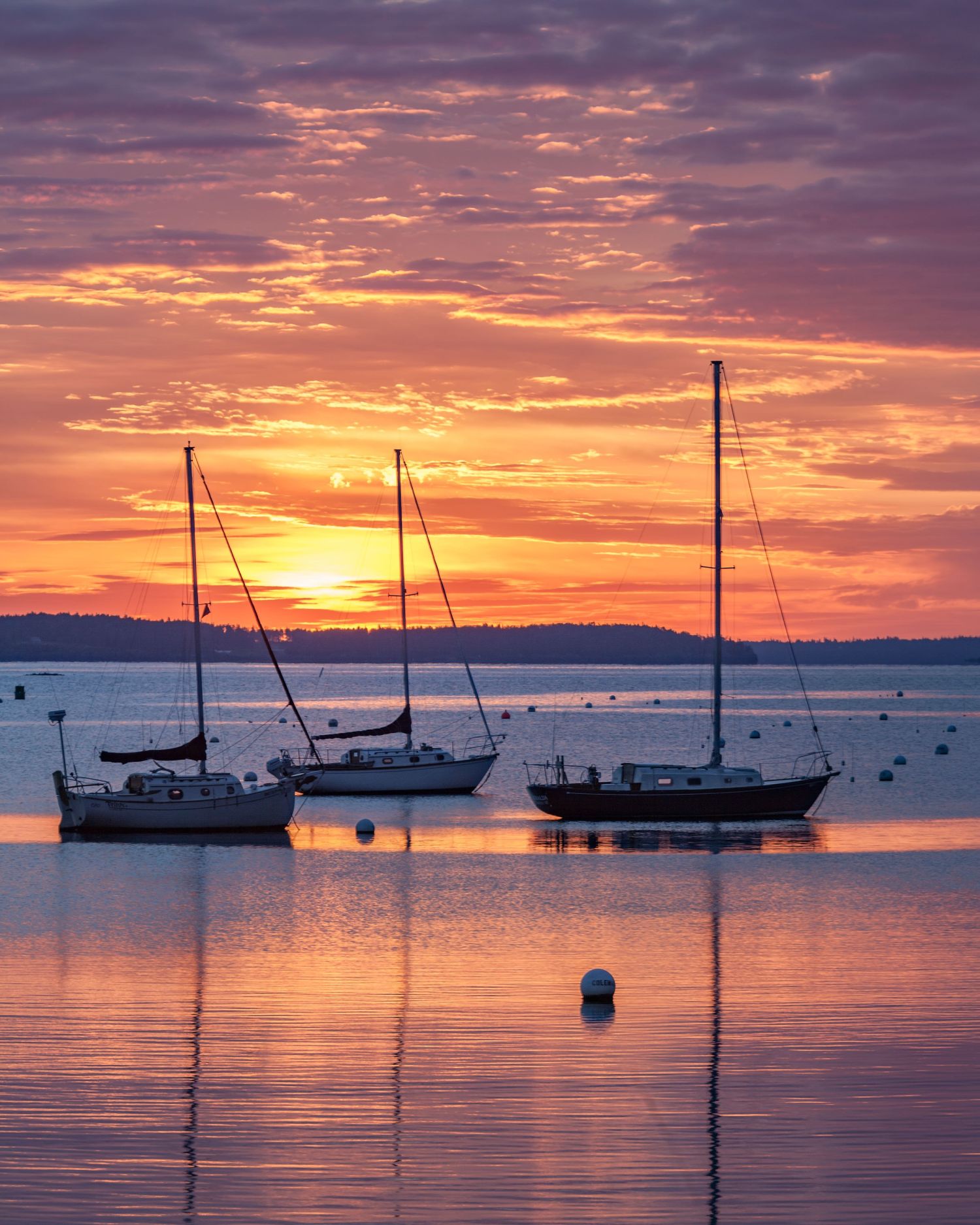 Camden Harbour Dawn.jpg