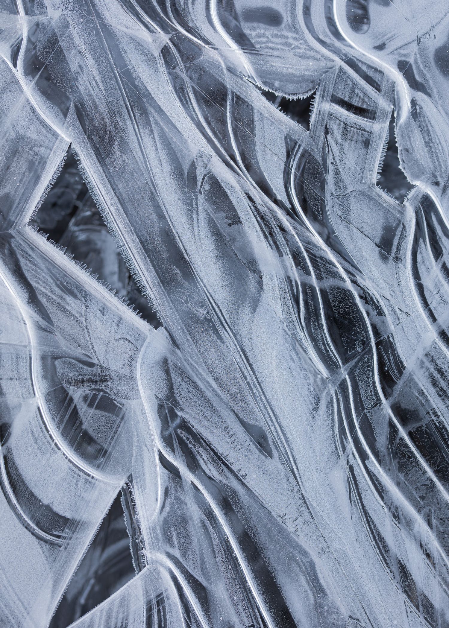 Ice-Forms-#5.jpg