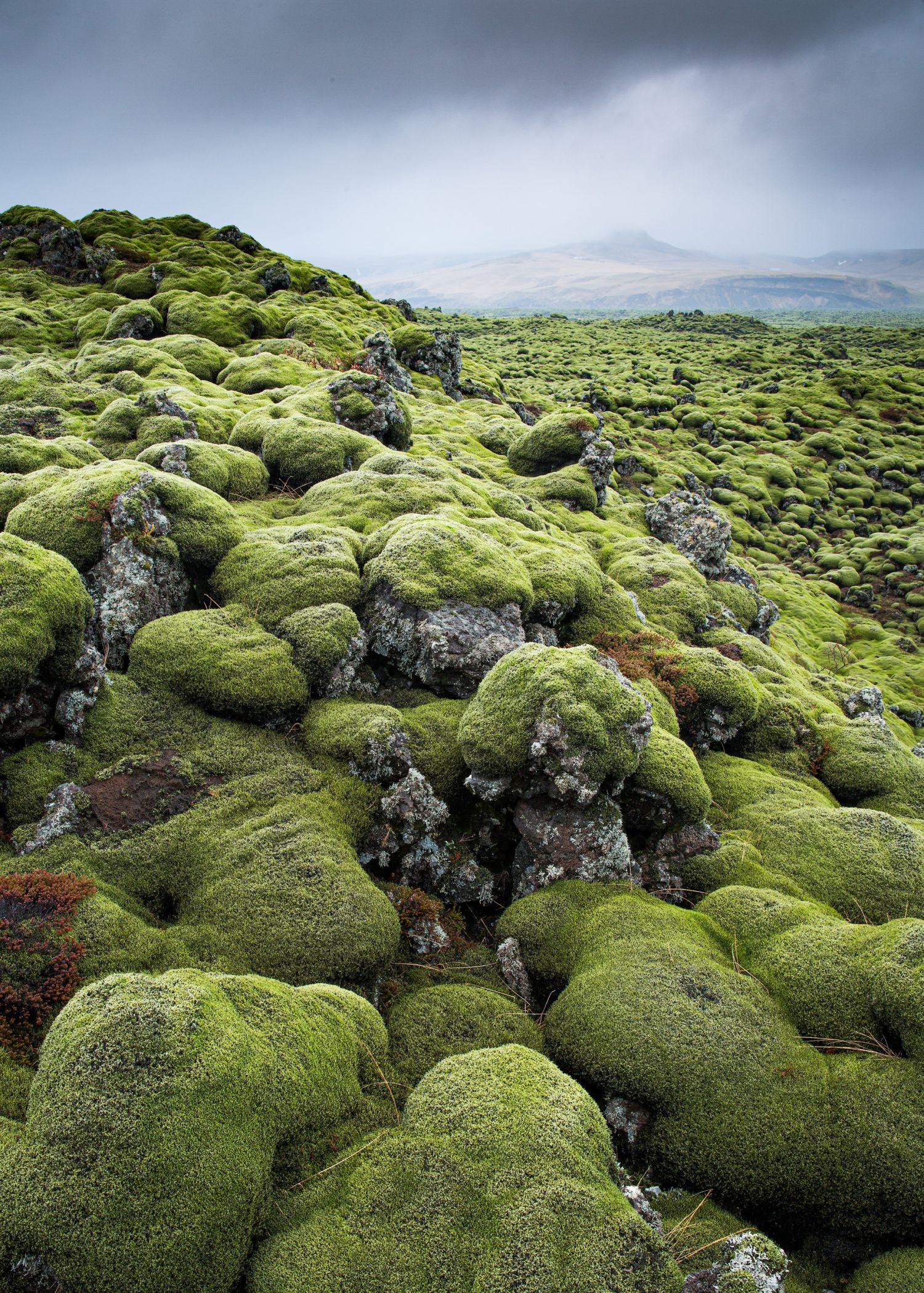 Lava Field.jpg