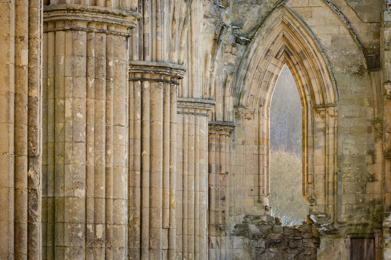 Rievaulx-Abbey.jpg