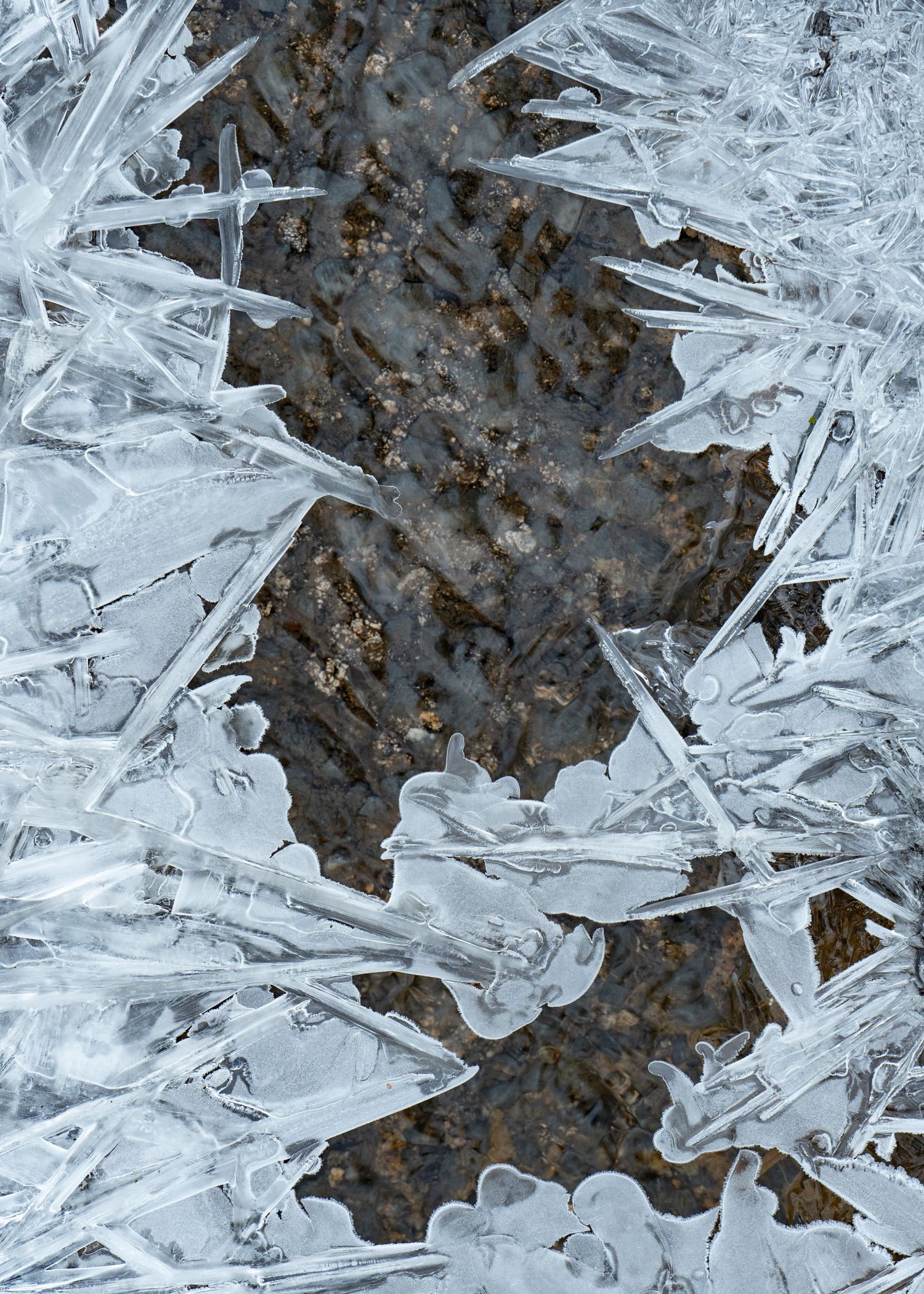 Roadside-Ice-#2.jpg