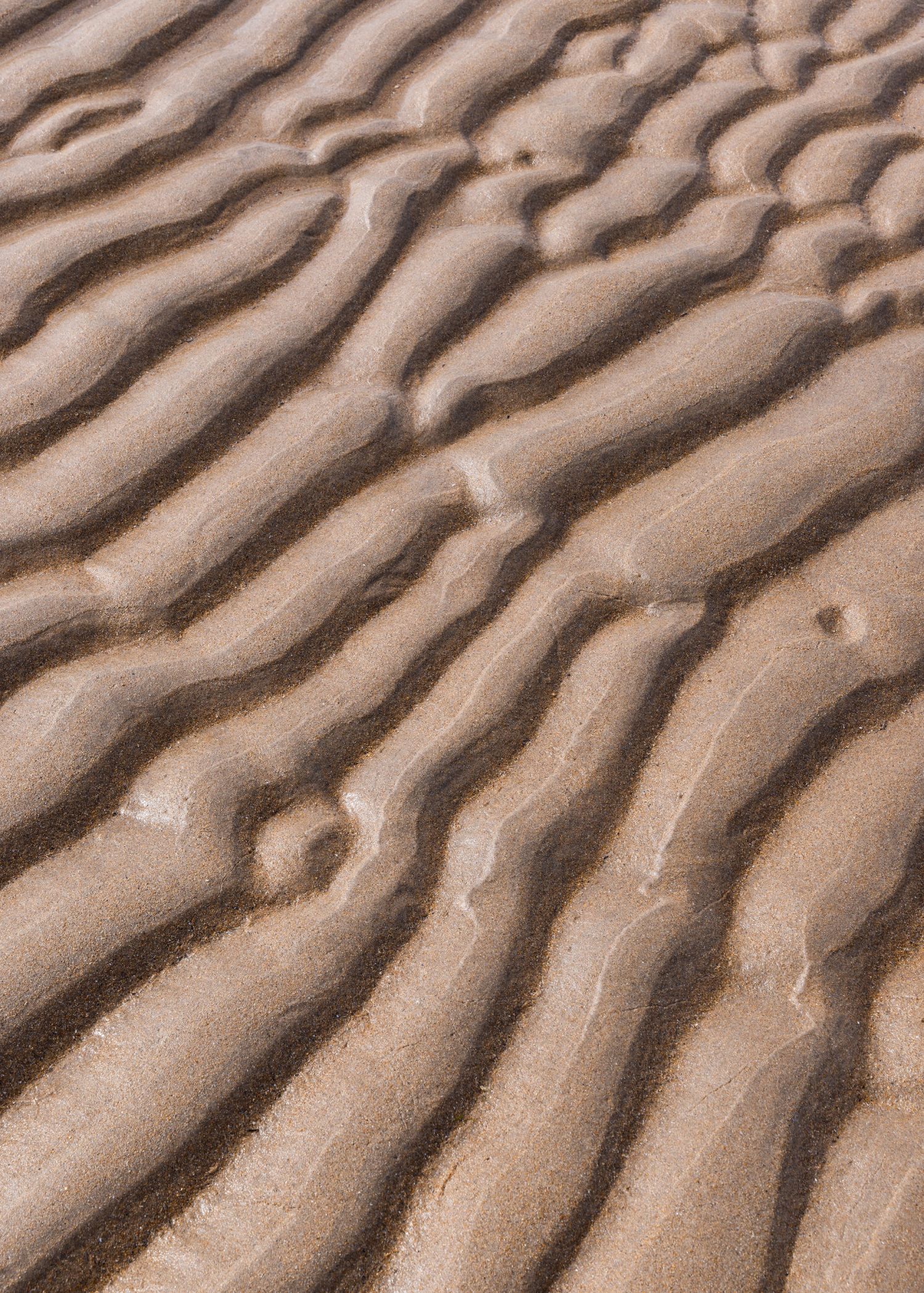 Sand-Ripples-#1.jpg