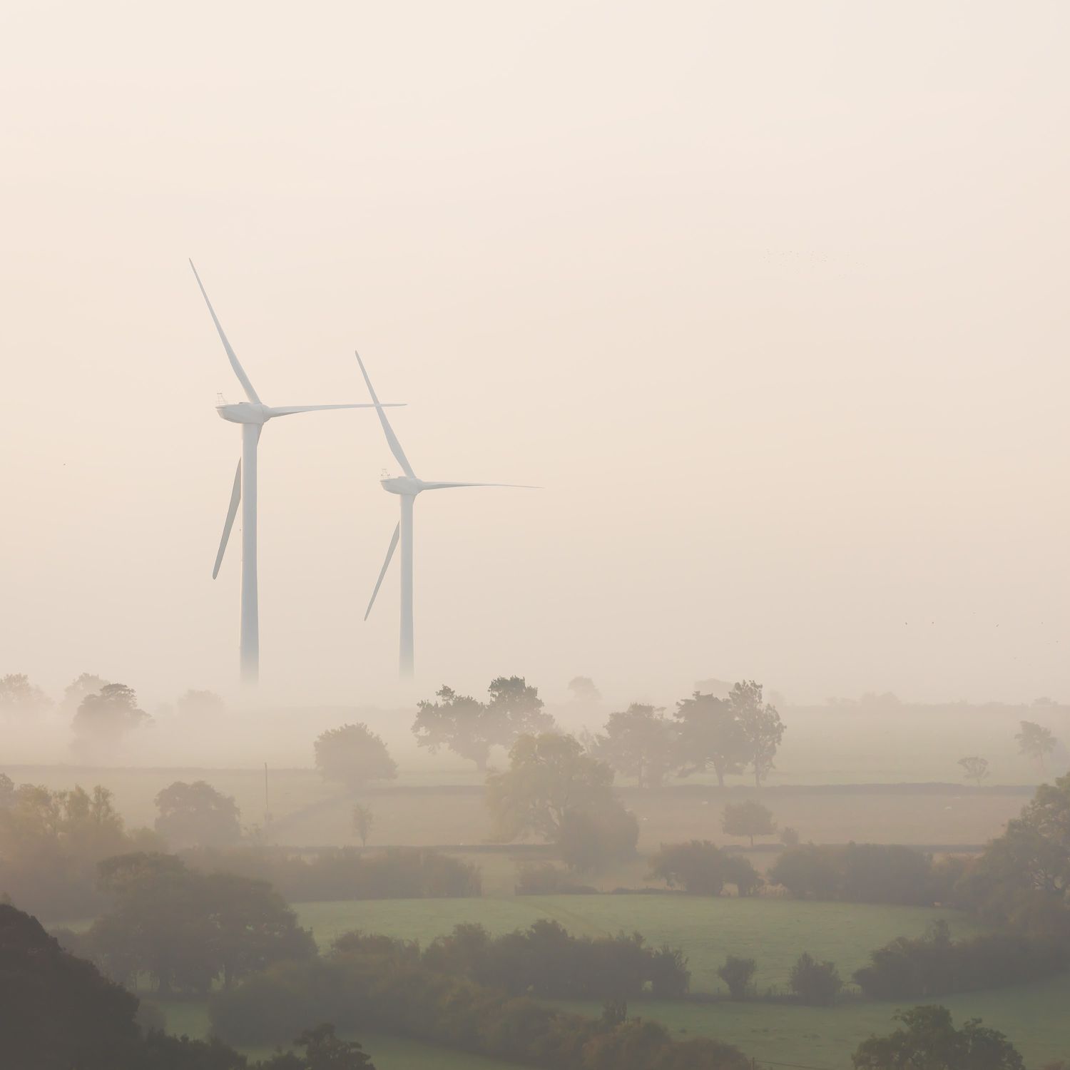 Wind-Turbines.jpg