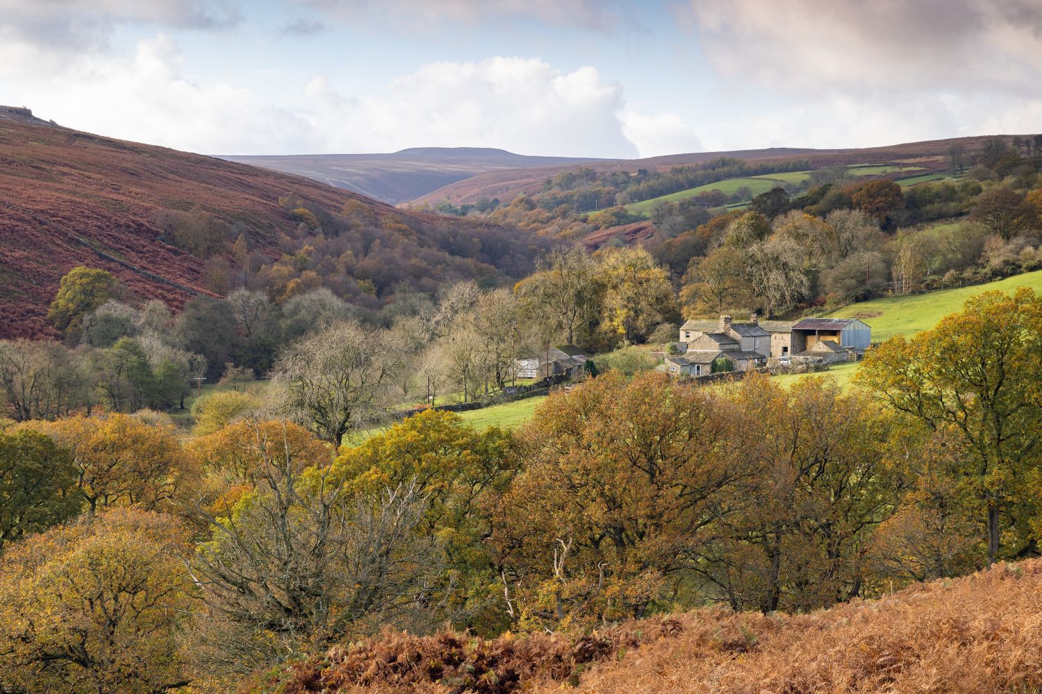 Yorks Colsterdale.jpg