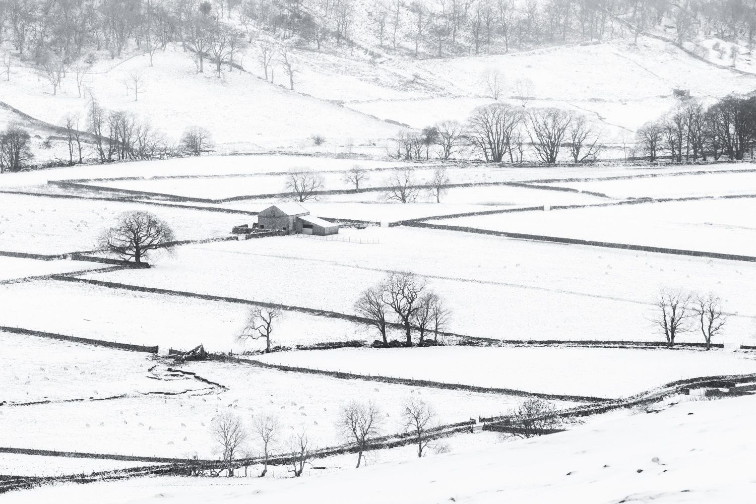 Yorks Littondale-Snow-#2.jpg