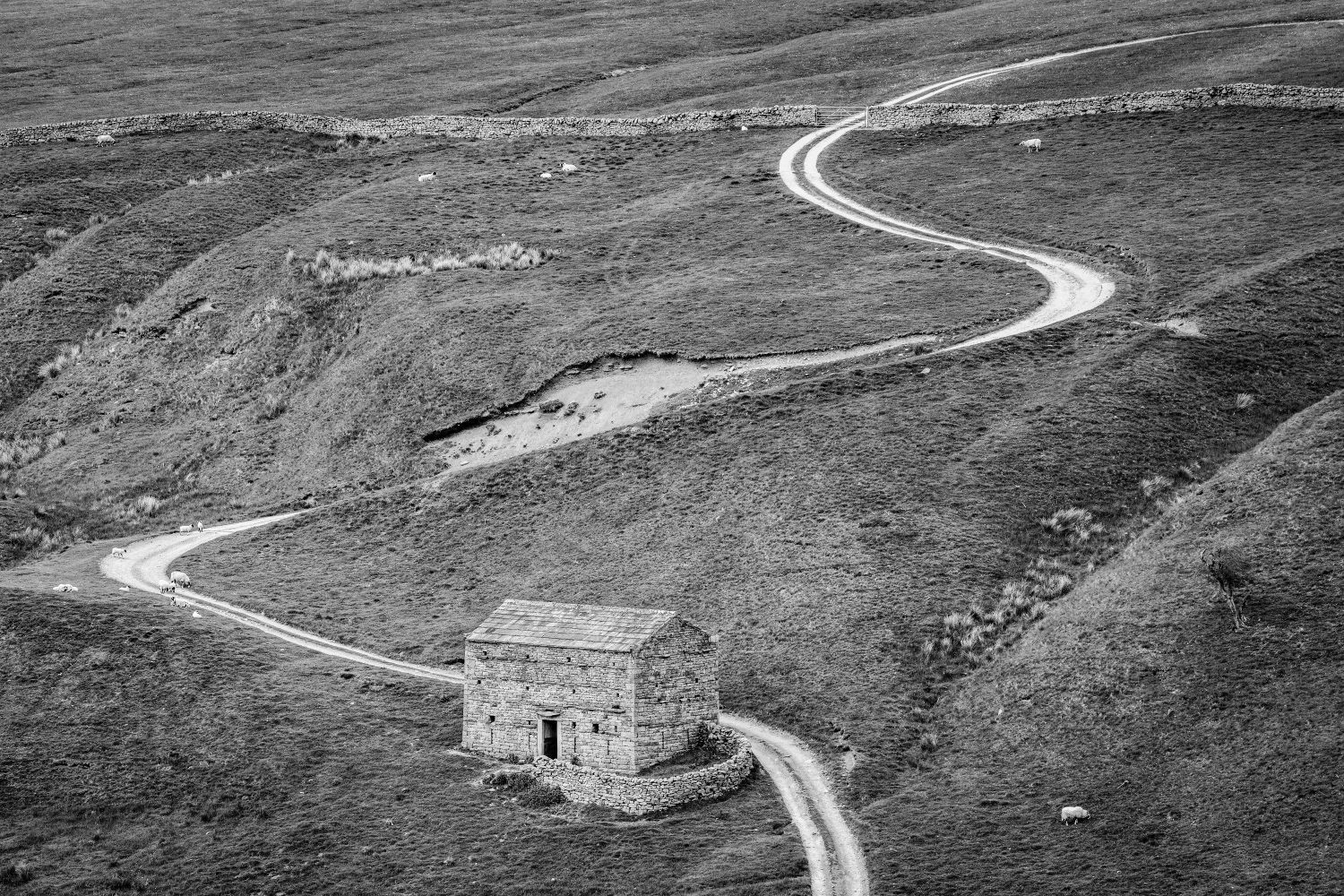 Yorks Swaledale-Barn.jpg