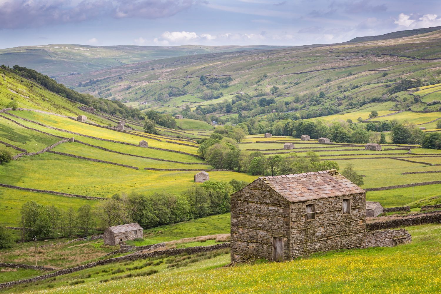 Yorks Swaledale-Barns.jpg