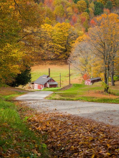 Maple Sugar Mill.jpg