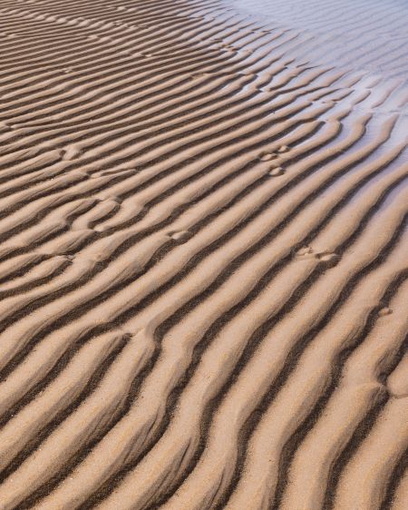 Sand-Ripples-#2.jpg