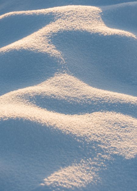 Snowdrift-#1.jpg